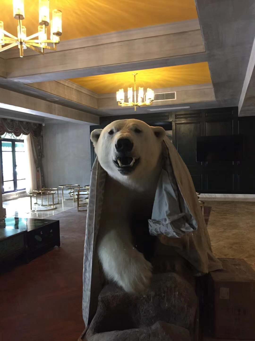 \